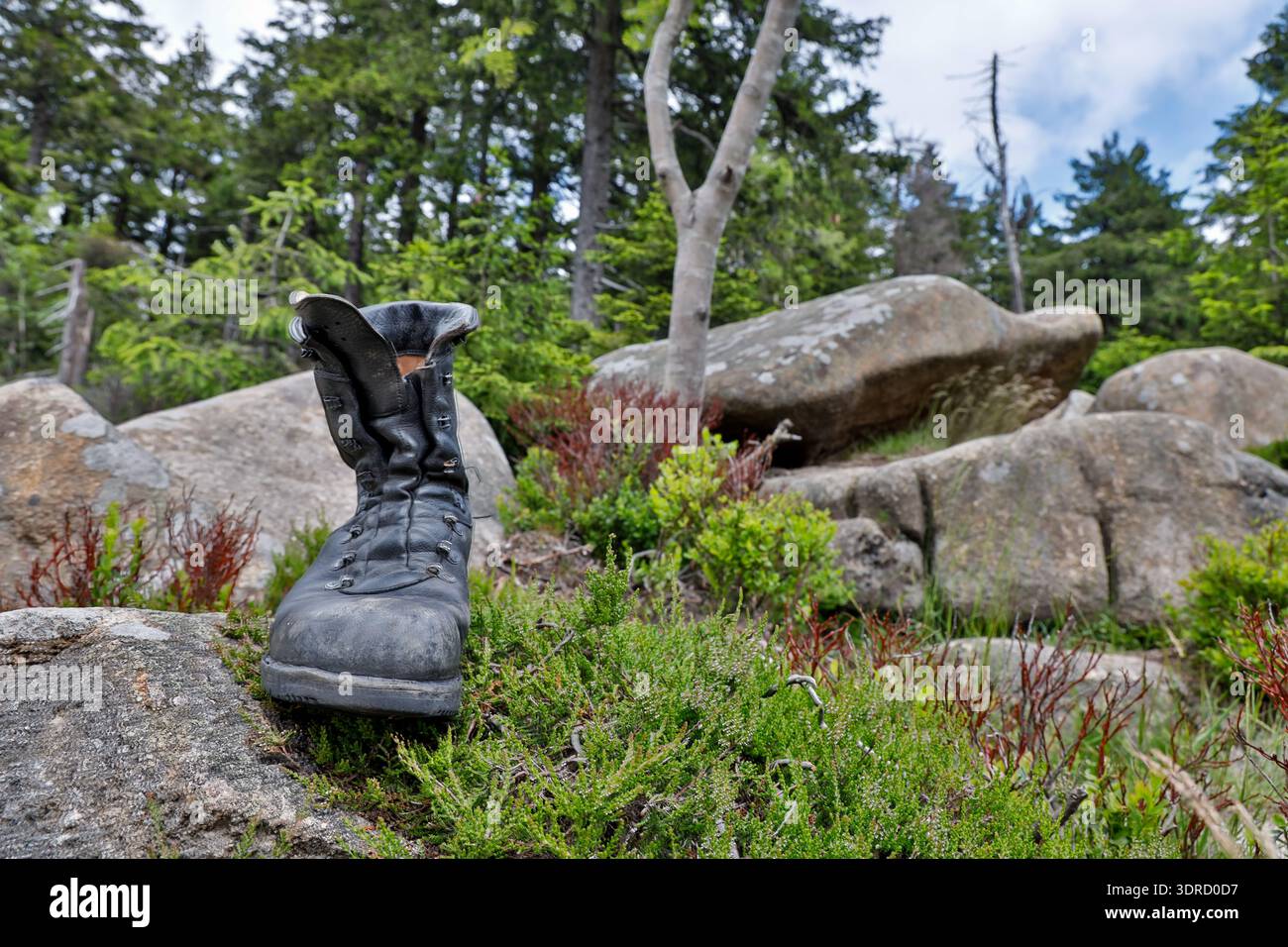 Impressioni immagini dallo stivale da trekking del Parco Nazionale di Harz Foto Stock