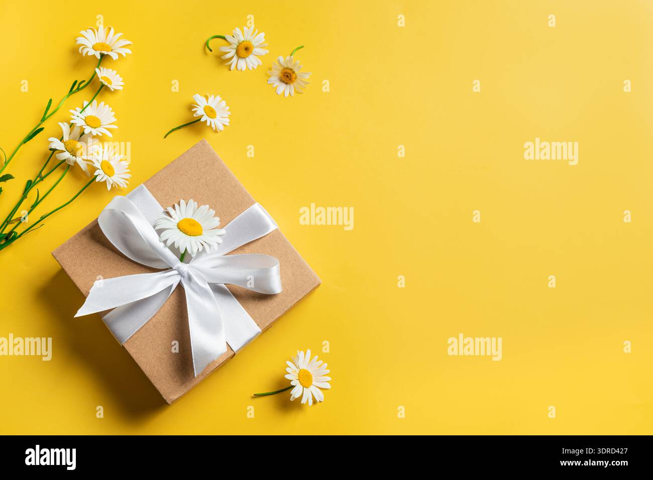 Confezione regalo e fiori camomilla Foto Stock