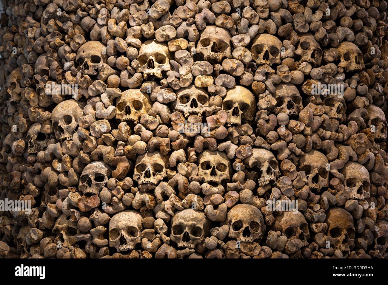 Primo piano di teschi e ossa umani che formano un muro ossario in una catacomba fioca, creando una trama inquietante; ideale per orrore, storia, campai di Halloween Foto Stock