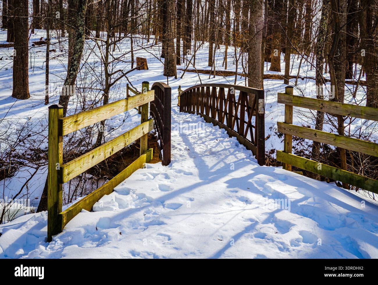 Inverno sul ponte nel bosco Foto Stock