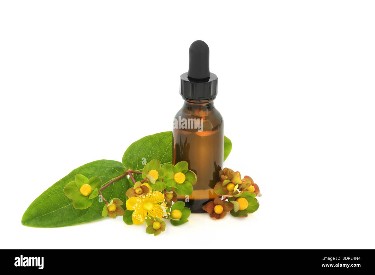 St Johns Wort usato in erboristeria per trattare la depressione con bottiglia di tintura su sfondo bianco. Guarigione naturale per gli stati d'animo depressi. Foto Stock