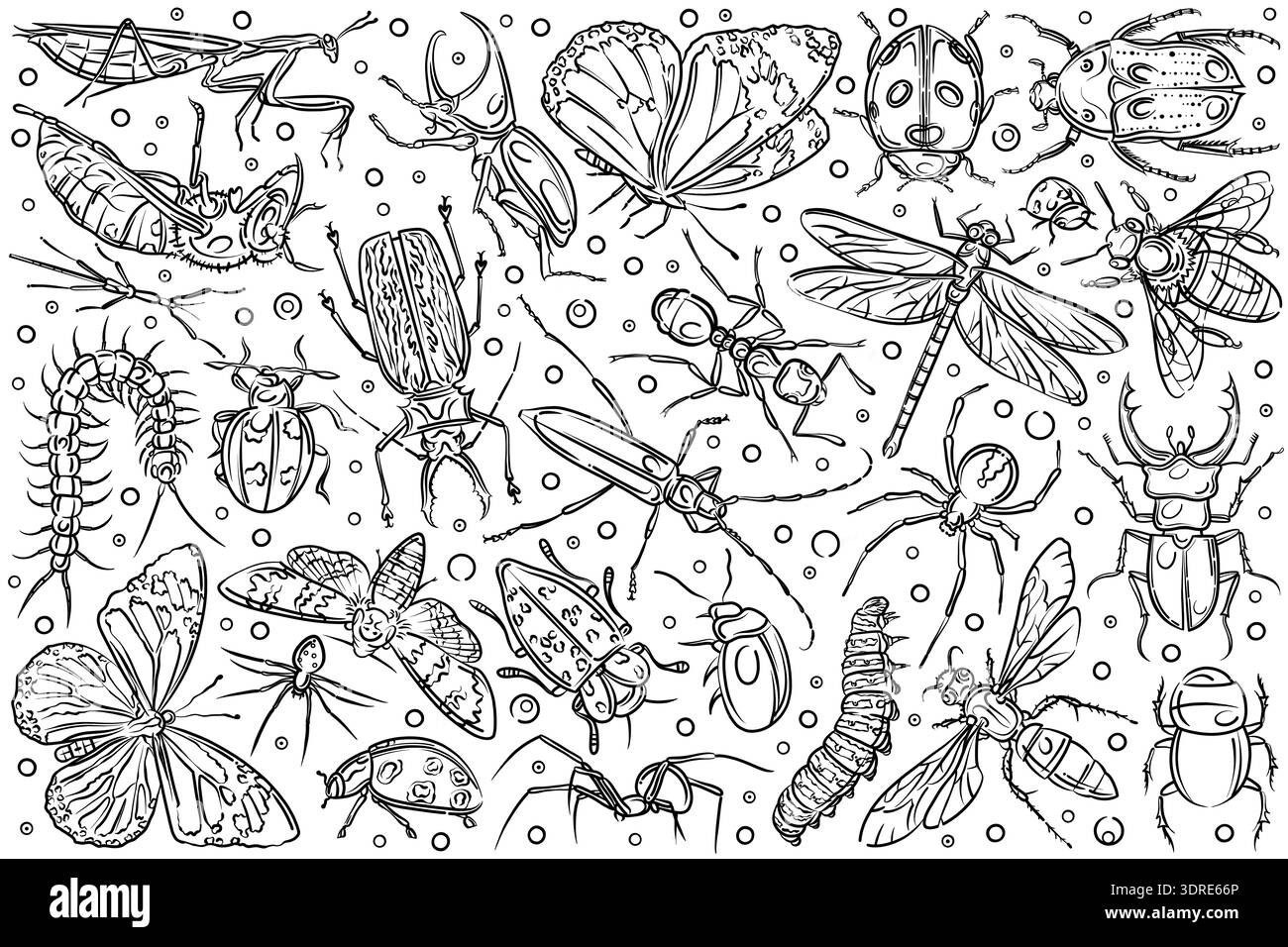 Insetti tirati a mano formica e farfalla. Foto Stock