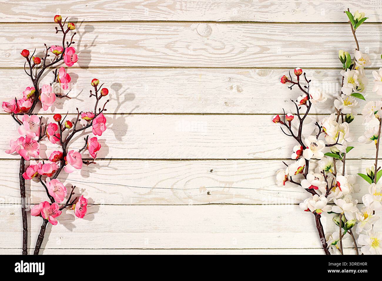 Composizione floreale astratta primaverile, natura morta con splendidi rami sakura in fiore, banner per schermo con spazio per testo. G Foto Stock
