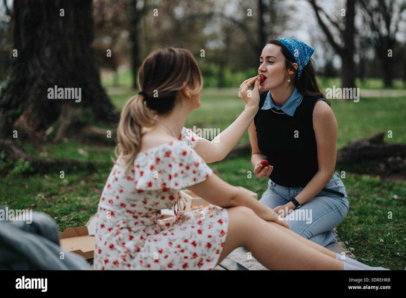 Due amici in un parco condividono le fragole mentre uno nutre l'altro durante un picnic al sole Foto Stock