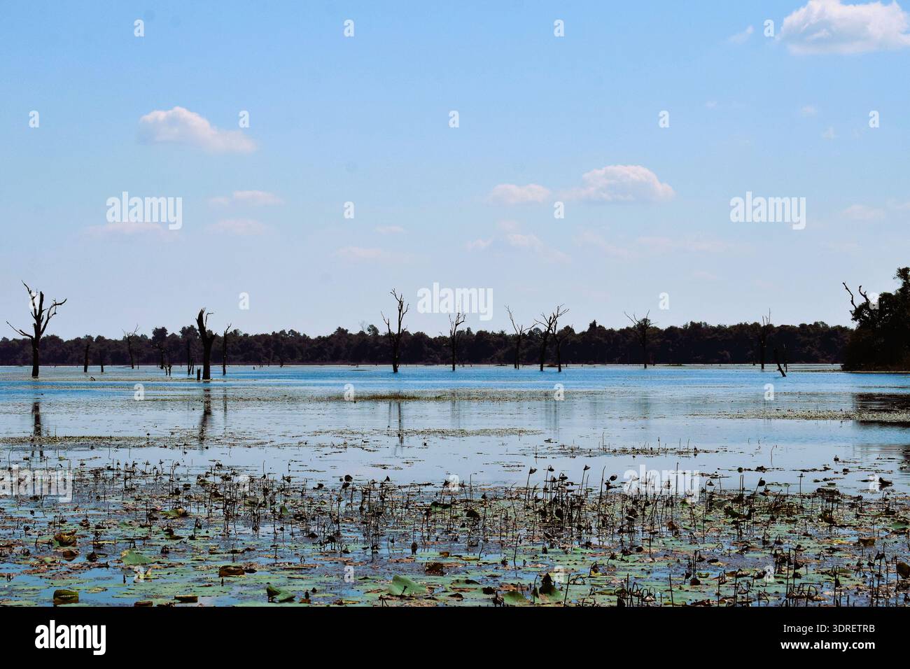Neak Pean Temple Lake Angkor Foto Stock