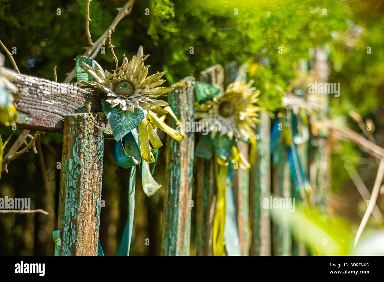 Un primo piano di una recinzione rustica in legno con vernice verde sbucciante, splendidamente decorata con fiori di tessuto fatti a mano e nastri colorati. La scena è se Foto Stock