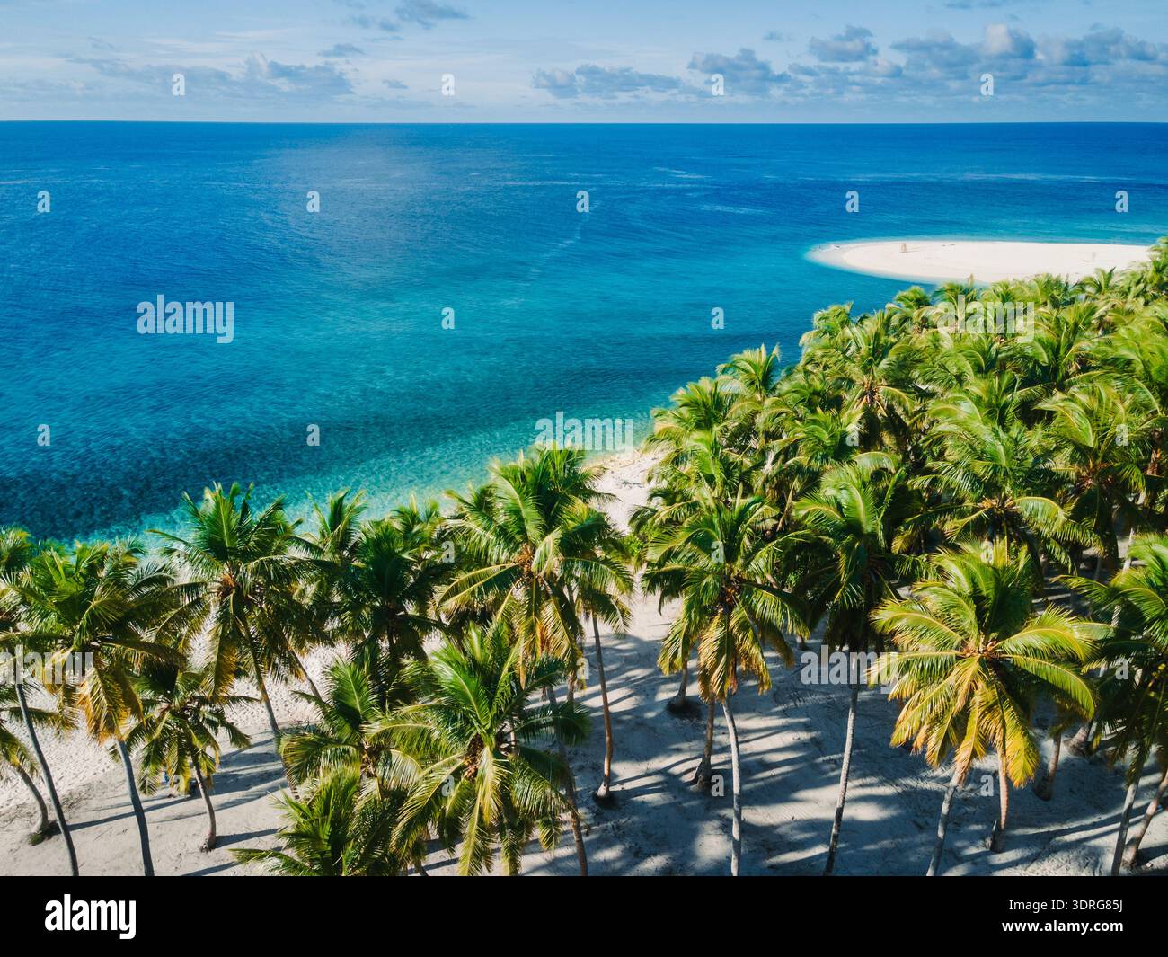 Isola delle Maldive e spiaggia tropicale con palme. Vista drone Foto Stock
