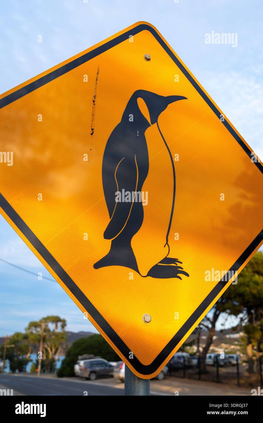 Cartello di avvertimento attraversamento dei pinguini su una strada costiera, Kangaroo Island Foto Stock