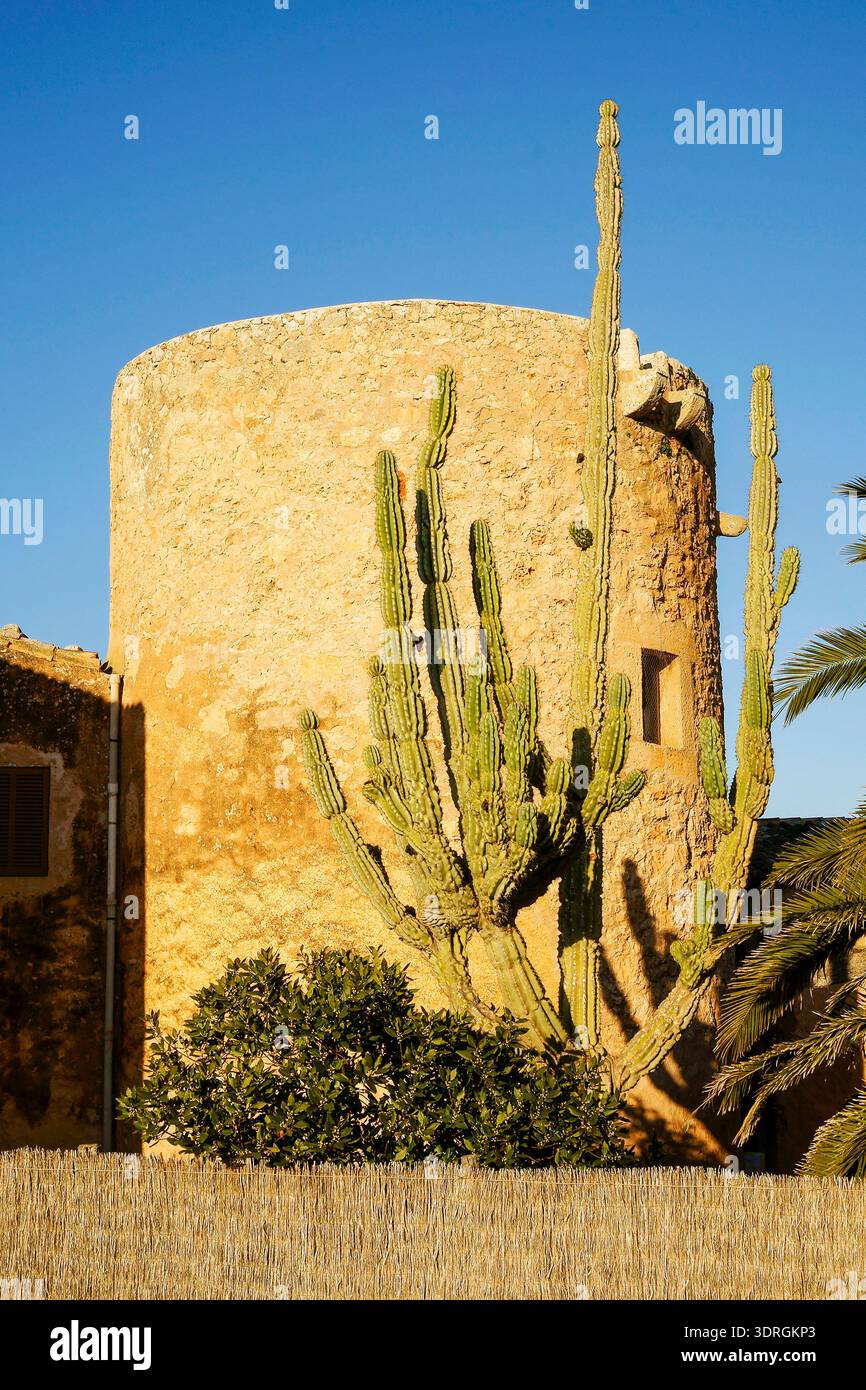 La torre di Vallgornera. Llucmajor.Migjorn.Maiorca.Isole Baleari. Spagna. Foto Stock