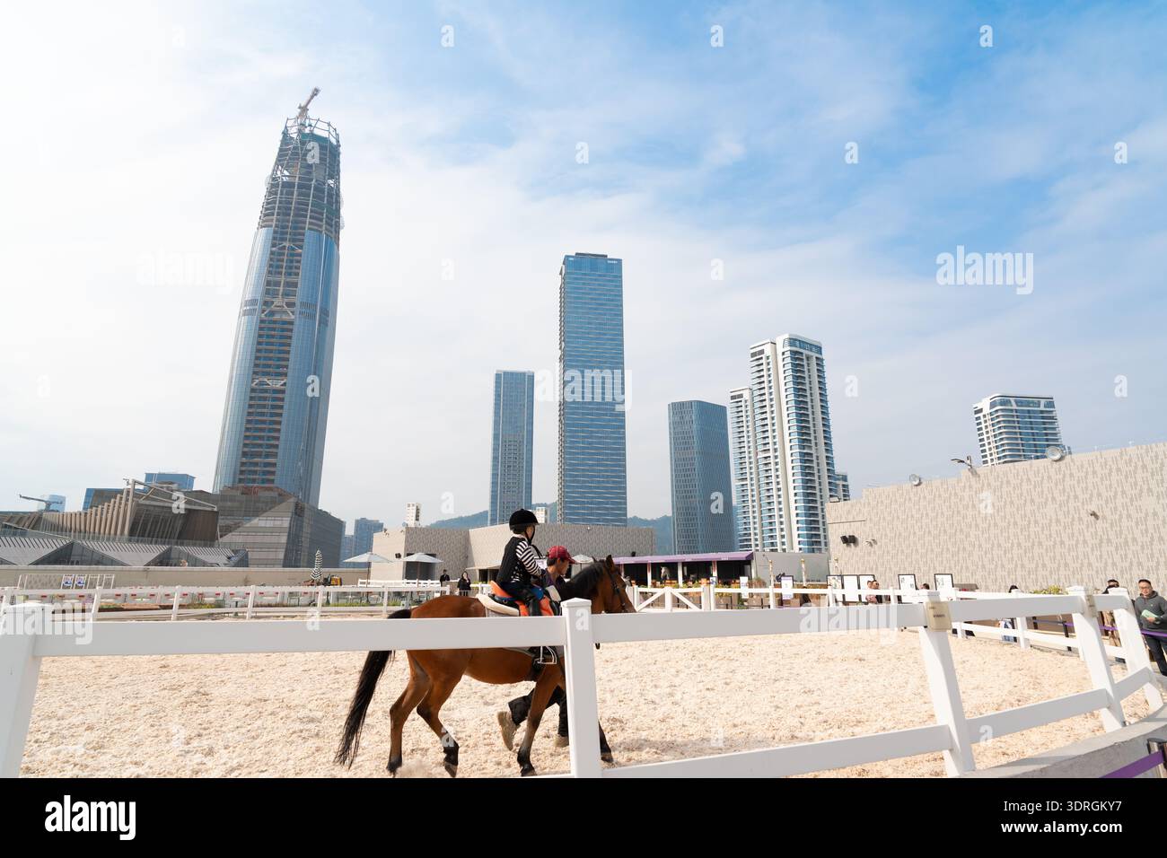 Cavaliere su cavallo marrone in un'arena sabbiosa con il moderno skyline della città, compresi i grattacieli sotto il cielo blu Foto Stock
