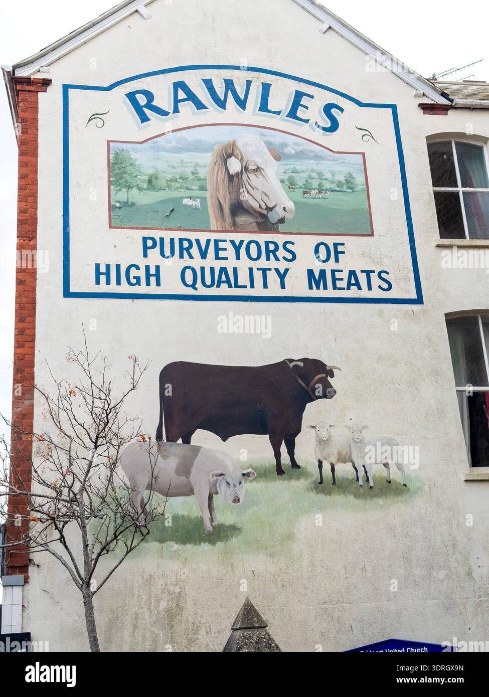 Pubblicità murale Rawles fornitori di carni di alta qualità con bestiame dipinto sulla facciata di un edificio intempestivo Foto Stock