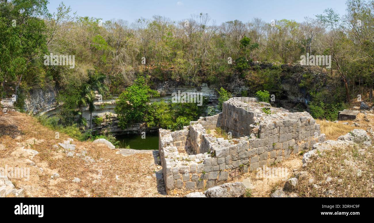 Il Cenote Sacro a Chichen Itza, Yucatan, Messico Foto Stock