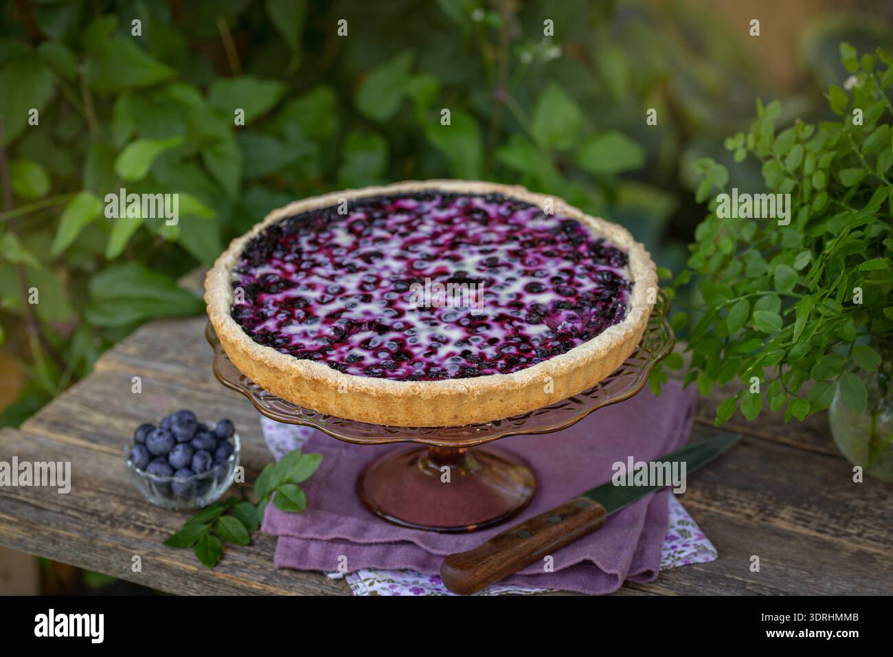 Torta finlandese di mirtilli Foto Stock