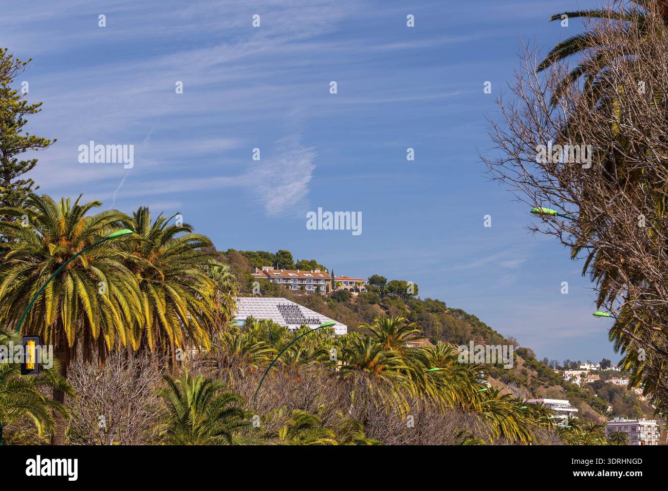 Malaga, Spagna, vista ad ampio angolo del paesaggio costiero della città con palme verdi ed edifici residenziali su una collina sotto un cielo azzurro cristallino durante un soggiorno Foto Stock