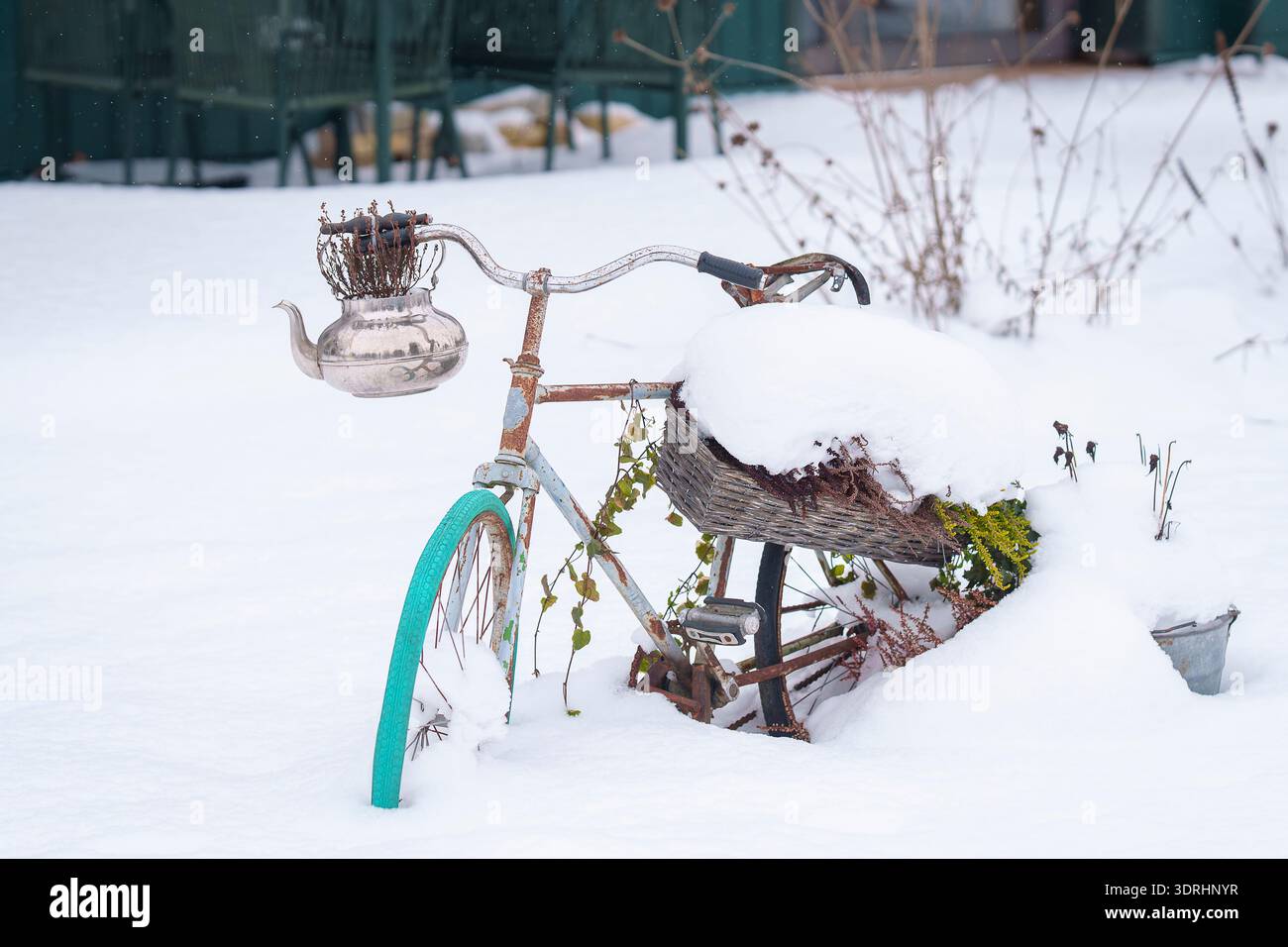 Bicicletta d'epoca parzialmente sepolta nella neve con un pneumatico turchese e una piantatrice di teiera sul manubrio. Vecchia bicicletta rustica decorata con piante secche. Foto Stock