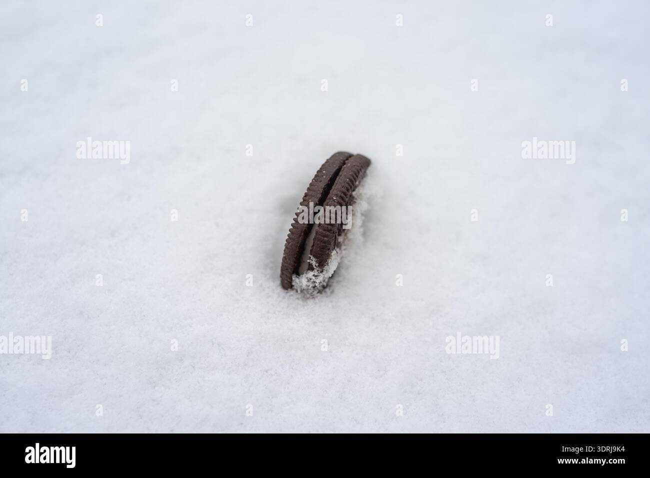Biscotti al cioccolato con sandwich isolati biscotti al cioccolato metà sepolti nella neve, il primo piano mostra un bordo smerigliato Foto Stock