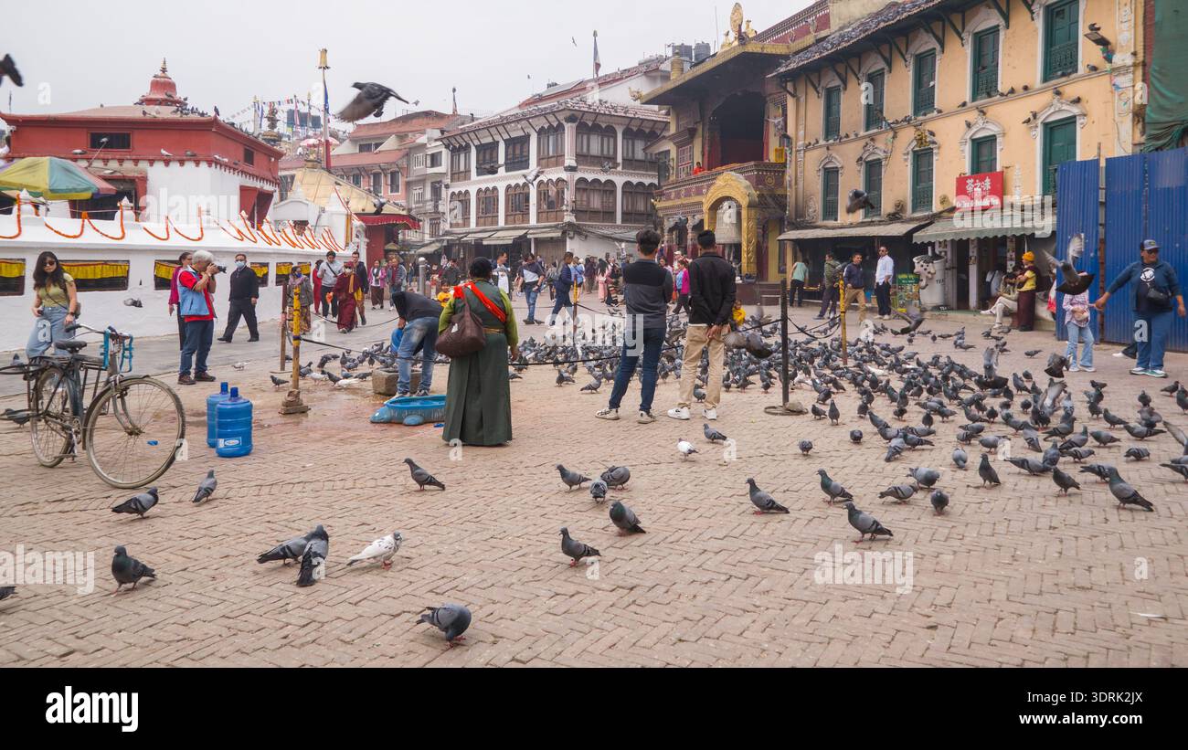 Una piazza del mercato piena di piccioni e persone, circondata da vecchi edifici e monumenti sotto un cielo azzurro. Foto Stock