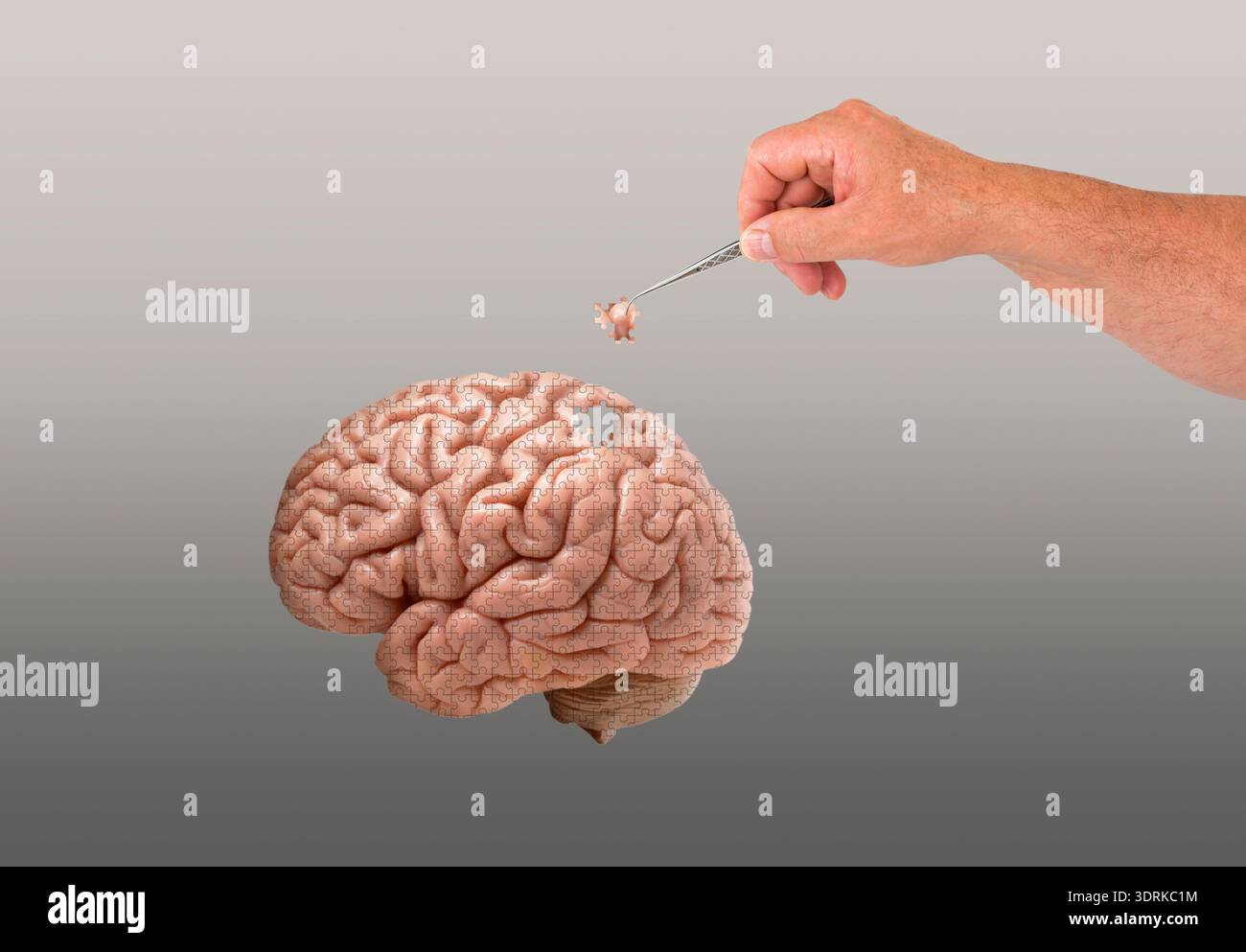 Il cervello umano come un gioco di puzzle Foto Stock