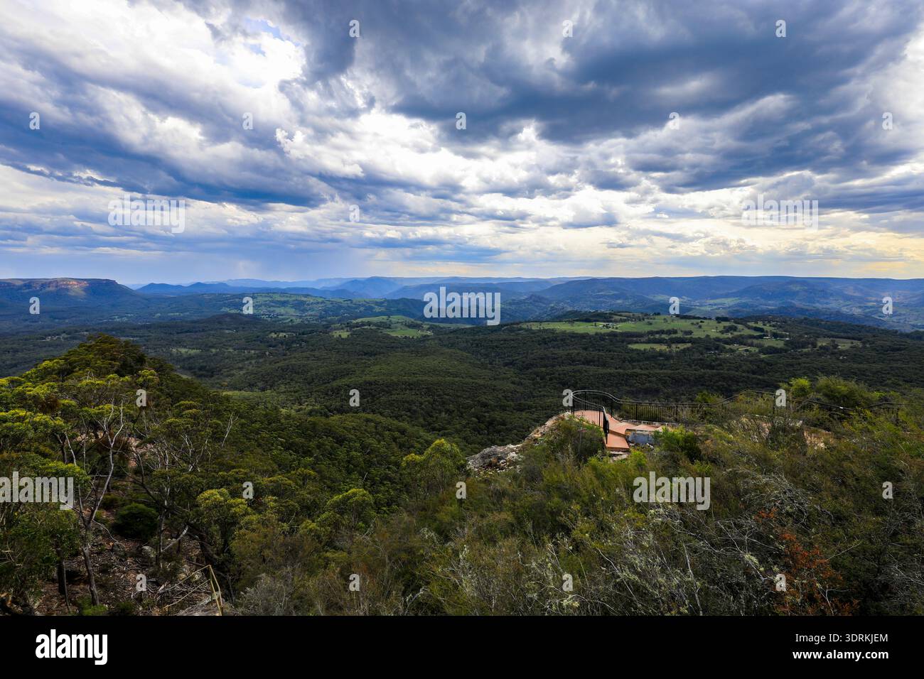 Vista panoramica dal punto panoramico Hargraves Lookout nelle Blue Mountains che si affaccia sulla Grose Valley con un paesaggio boschivo e aspre scogliere di arenaria. Foto Stock