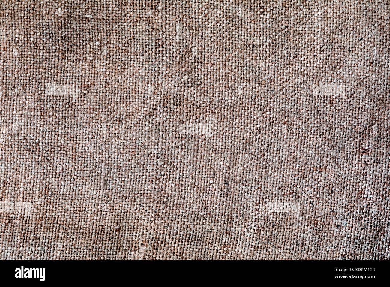 Tessuto di sacchi di iuta Foto Stock