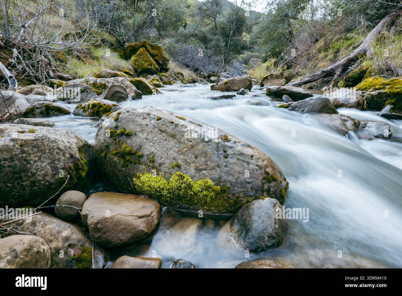 Una lunga esposizione fotografica mostra le acque lisce e affollate di Putah Creek Foto Stock