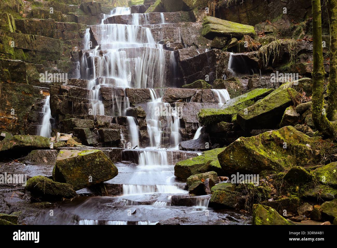 Cascata boschiva a gradoni che scorre su rocce muschiate, catturata con lunga esposizione in un tranquillo ambiente forestale. Foto Stock