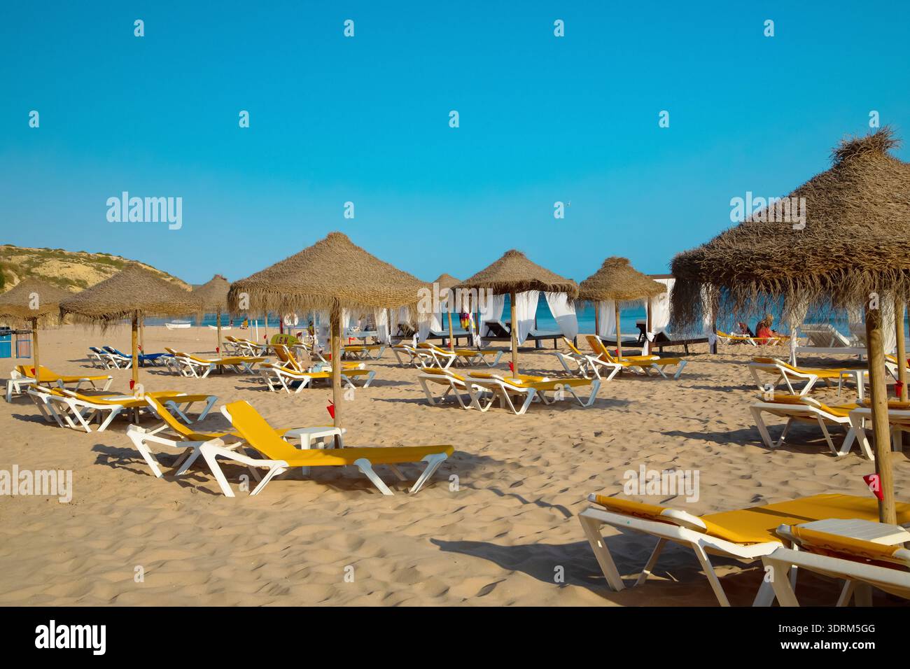 File di sdraio e ombrelloni sulla spiaggia sabbiosa Foto Stock