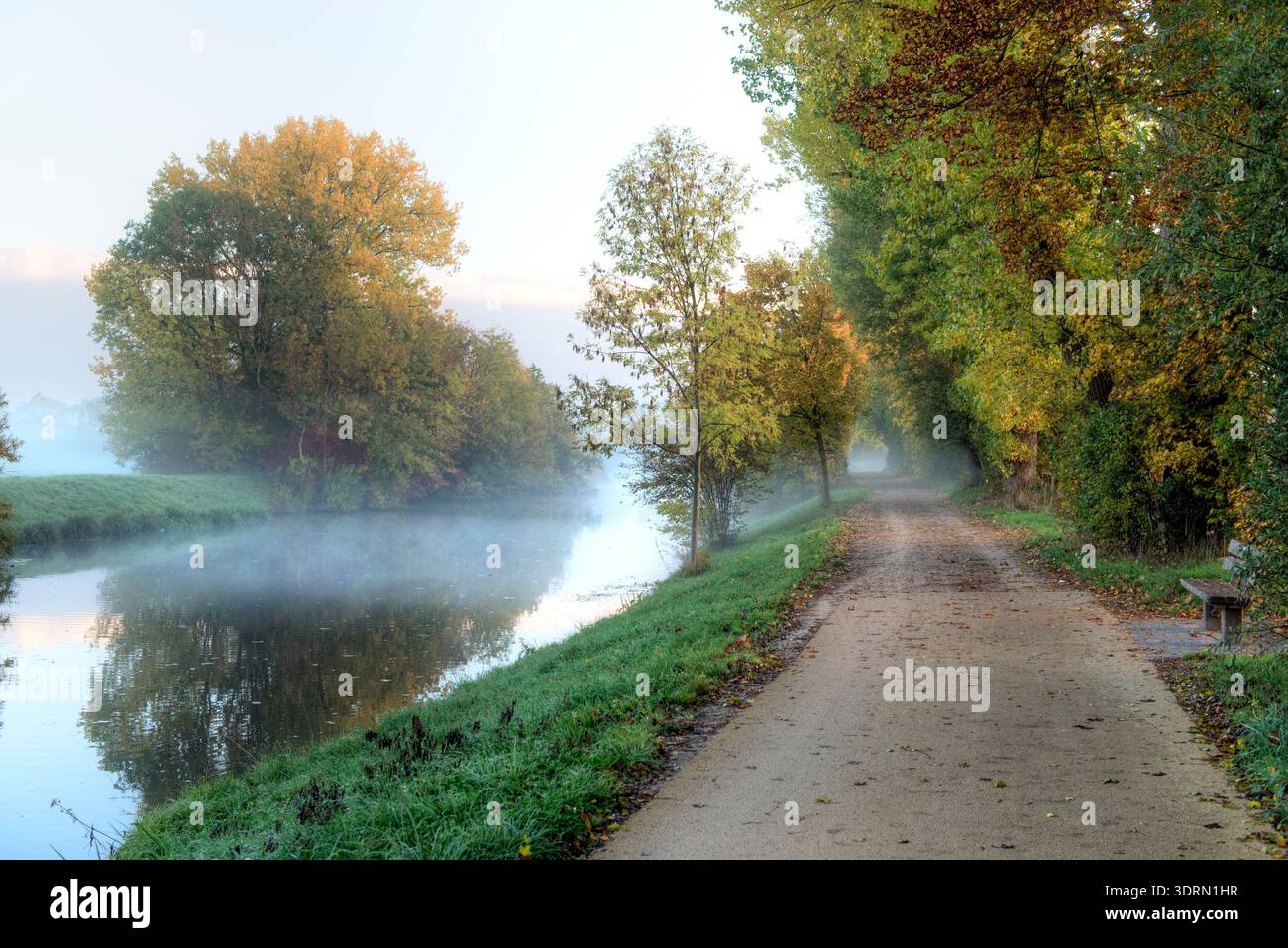 Il corso del fiume Nidda al mattino con nebbia e un sentiero rialzato e deserto lungo il fiume Foto Stock