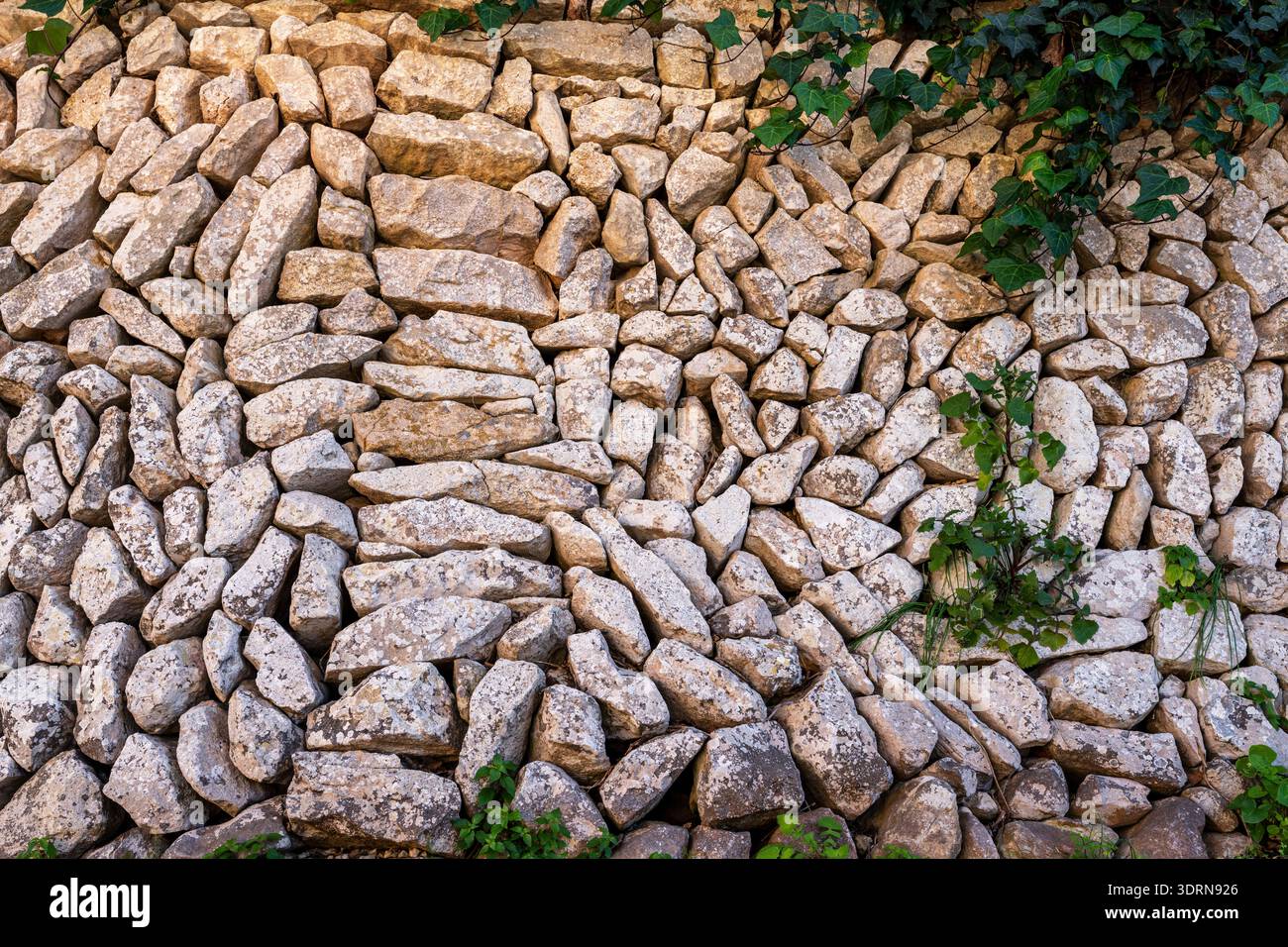 Muro di pietra viva senza Malta, Randa, Algaida, Maiorca, Isole Baleari, Spagna Foto Stock
