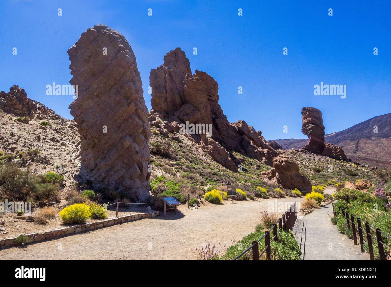 Spagna - Teneriffa, la Ruleta Vista Point al Nationalpark el Teide Foto Stock