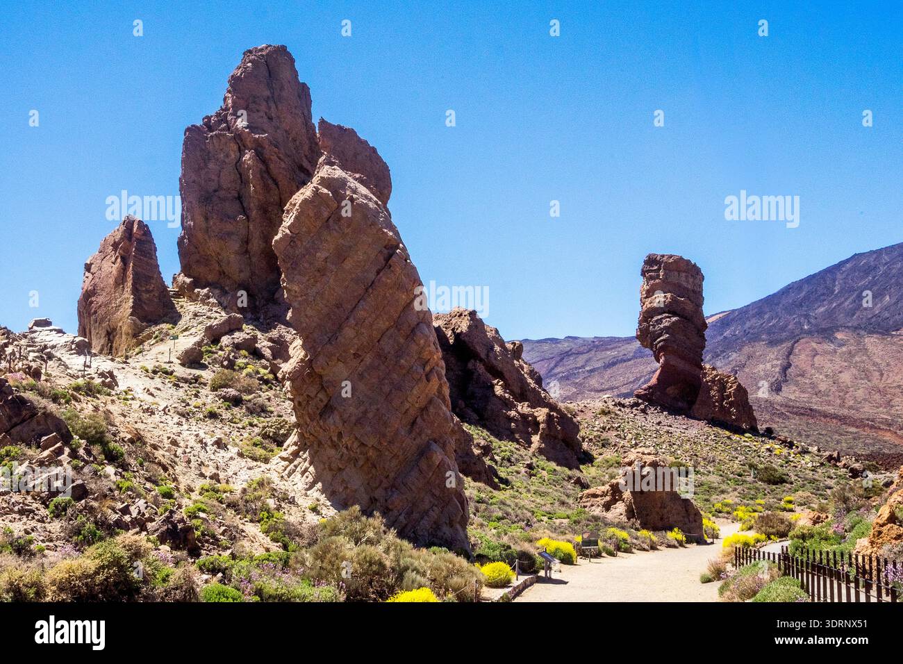 Spagna - Teneriffa, la Ruleta Vista Point al Nationalpark el Teide Foto Stock