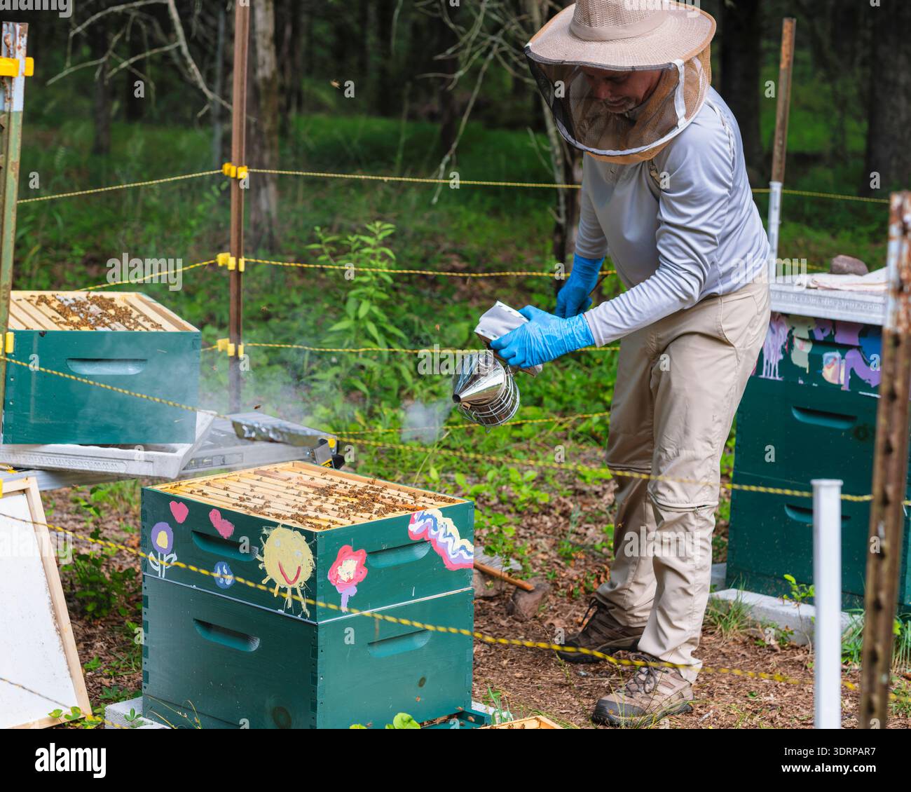 Un apicoltore sta usando un CAN Smoker per liberare le api con Smoke from the Beehive, Tewksbury, Hunterdon County, New Jersey Foto Stock