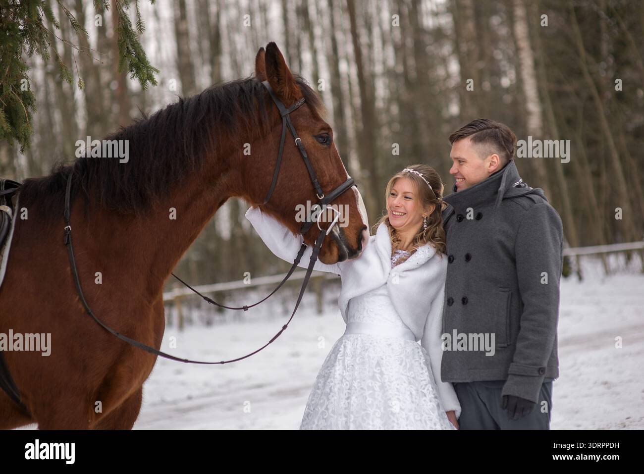 La sposa e lo sposo ridono insieme mentre interagiscono con un cavallo, mostrando gioia, spontaneità ed emozioni rilassate durante un servizio fotografico invernale di nozze. Foto Stock
