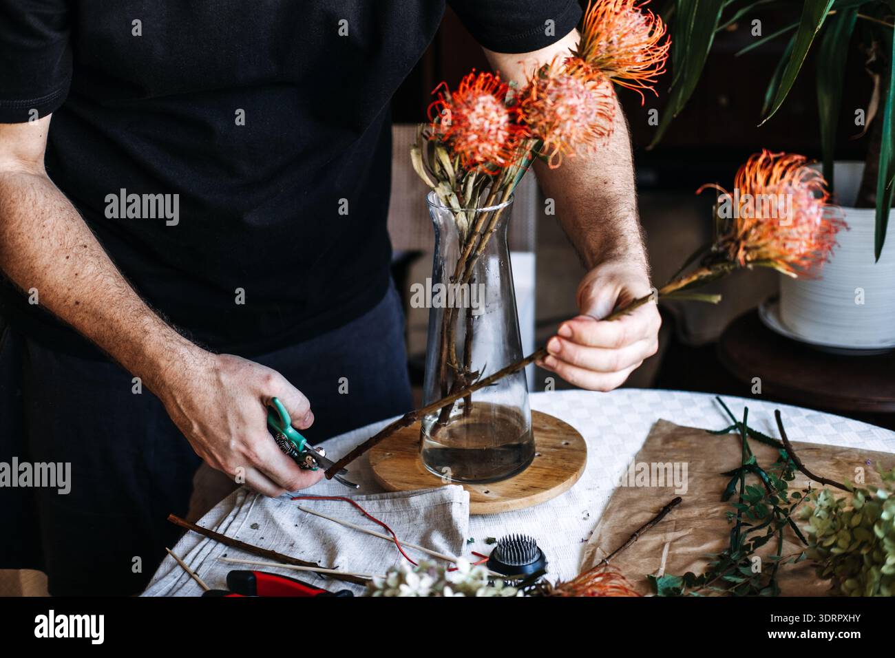La persona tiene in mano il fiore di protea con cuscinetto arancione mentre prepara il bouquet in vaso di vetro sul tavolo. arte terapia, consapevolezza tattile, benessere sensoriale Foto Stock