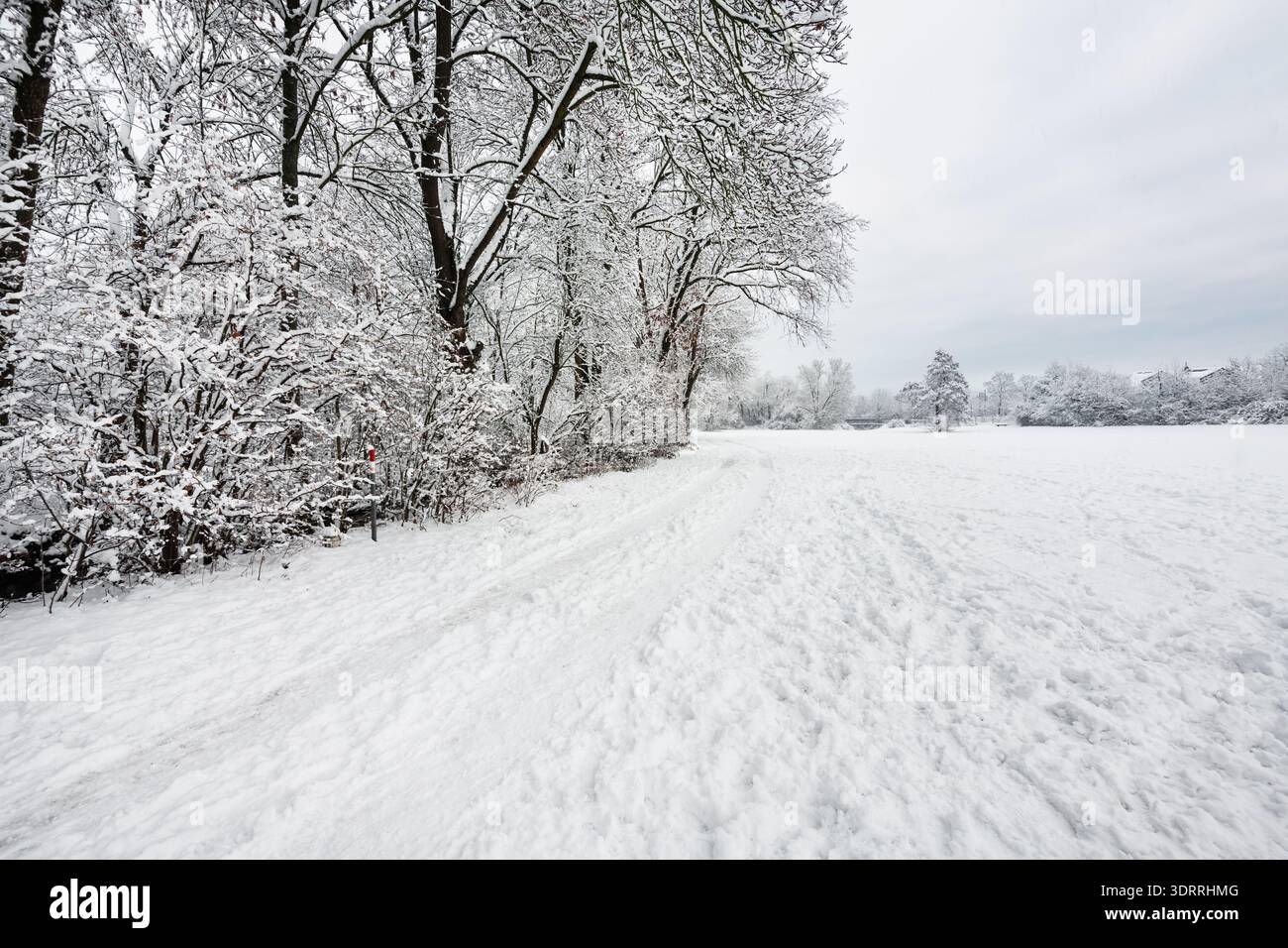 Paesaggio invernale bianco e innevato nella Baviera tedesca. Foto Stock