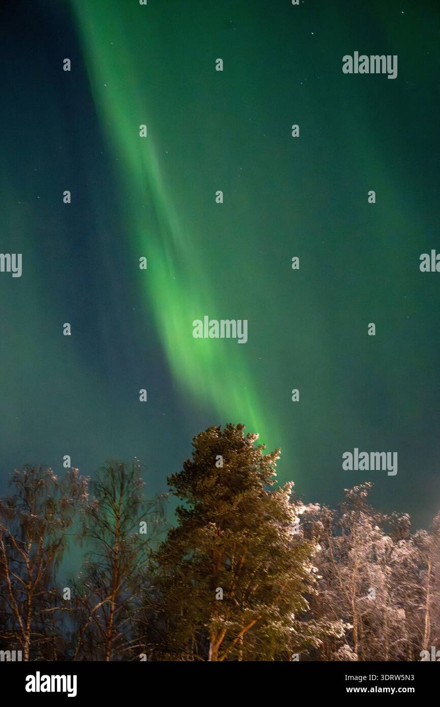 Aurora Boreale aurora boreale Lulea Svezia Foto Stock