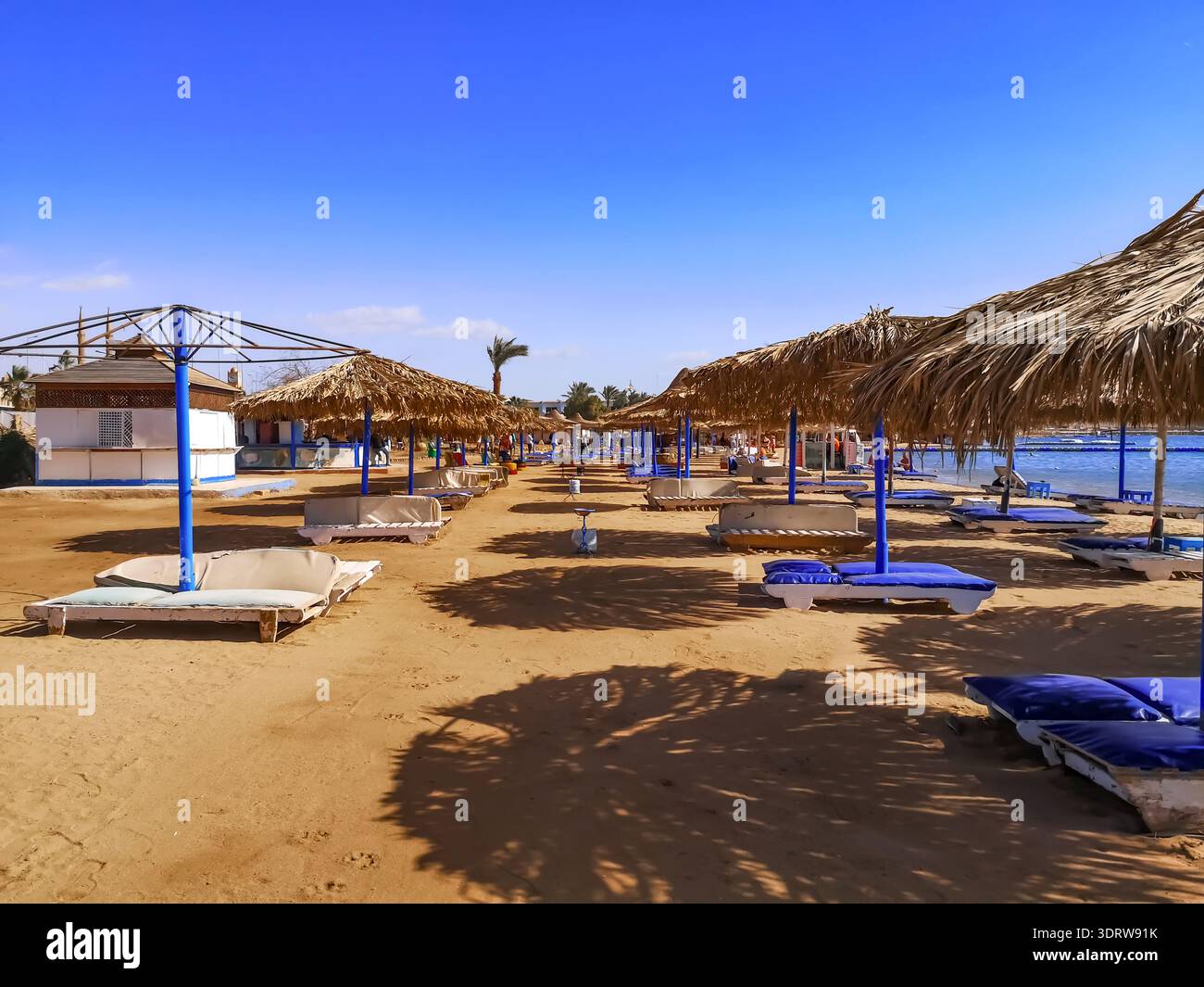 Spiaggia El Kheima a Sharm El Sheikh (Egitto). File di lettini blu sotto ombrelloni di canna asciutta su una spiaggia sabbiosa sul Mar Rosso Foto Stock