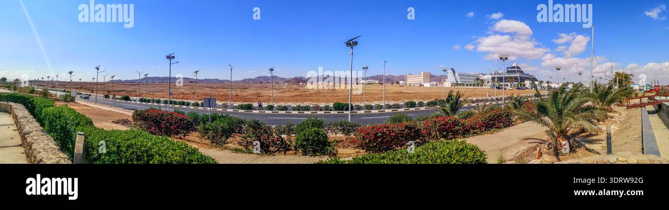 Splendido panorama di Sharm El Sheikh - città turistica egiziana nel deserto. Palme, cespugli con fiori rosa, asfalto sul paesaggio Foto Stock