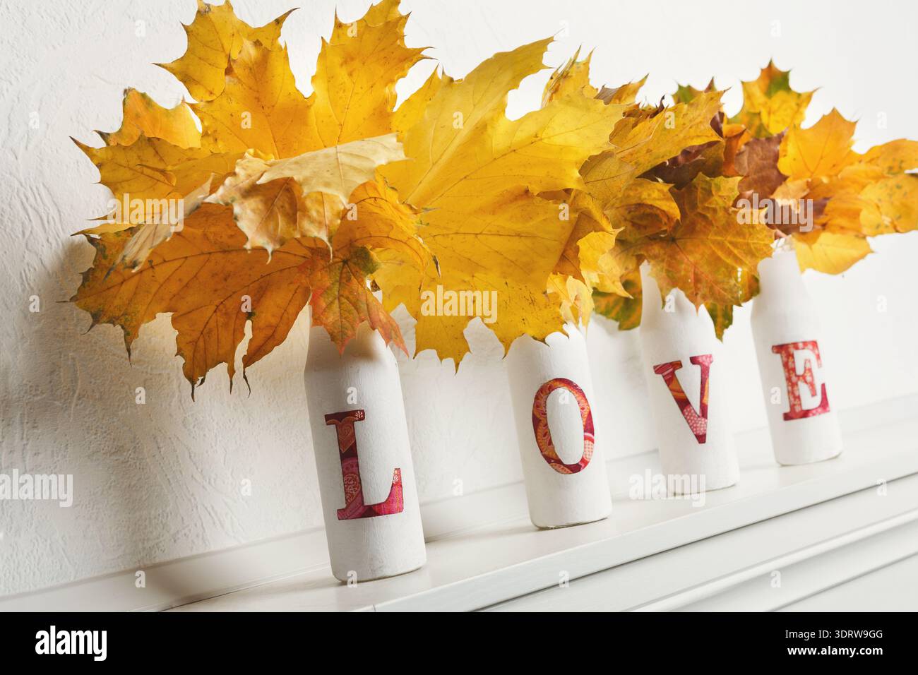 Raccolta di foglie autunnali in vasi che mostrano la parola amore su uno scaffale Foto Stock