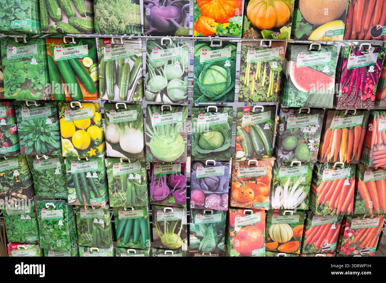 Semi di ortaggi, esposizione in negozio, cavolo savoy crescente, cavolo cavolo di savoia, kohlrabi, zucca e cetrioli in giardino, semina in primavera, Treviri, Germania Foto Stock