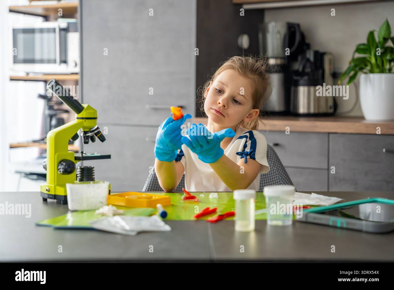Ragazza che indossa guanti protettivi che esamina i cristalli cresciuti al tavolo con microscopio e strumenti di laboratorio. Esperimenti scientifici pratici e chimica precoce Foto Stock
