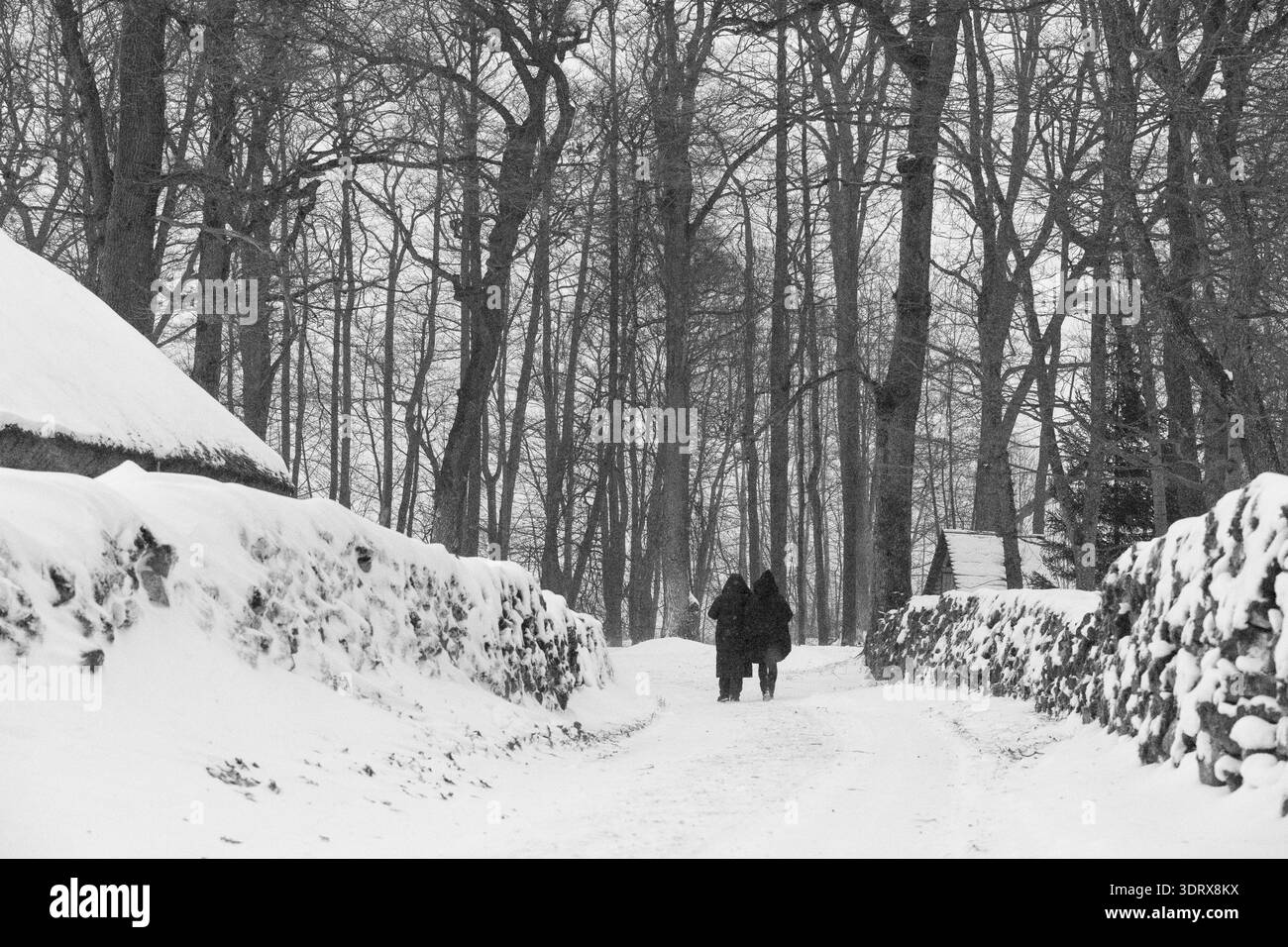 Tallinn, Estonia - 11.01.2026: I visitatori camminano lungo una strada innevata al Museo all'aperto di Tallinn durante le nevicate invernali a Rocca al Mare. Foto Stock