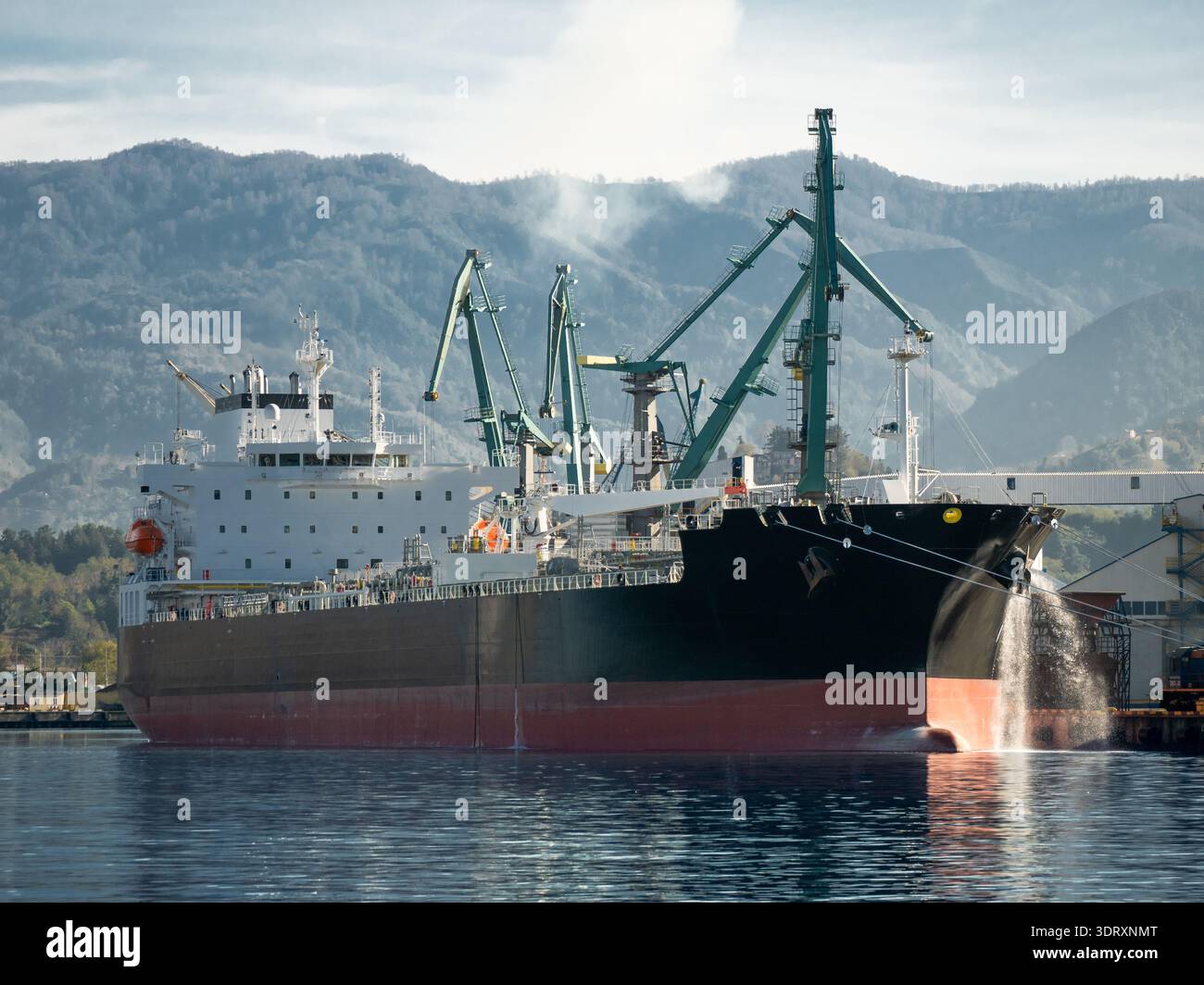 Navi da carico attraccate gru portuali industriali, logistica marittima globale, commercio di importazione e esportazione. Foto Stock