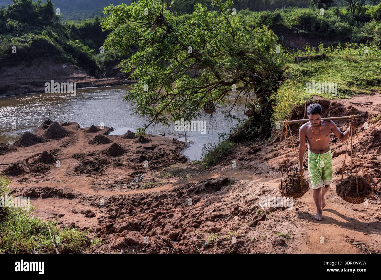 Uomo che raccoglie sabbia da un fiume, Orissa, India Foto Stock
