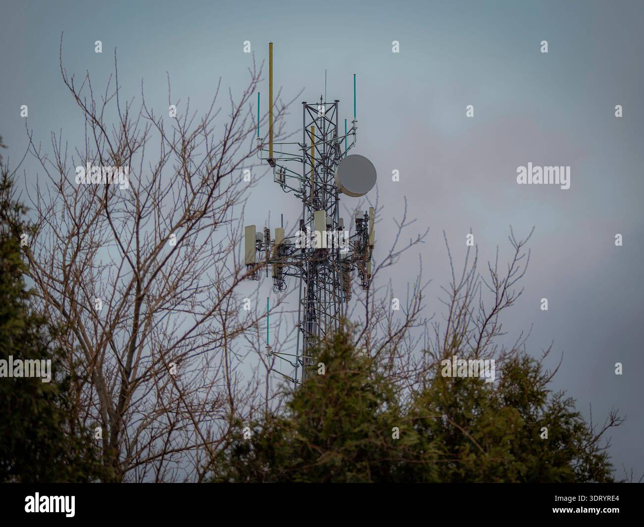 Torre di comunicazione dei telefoni cellulari che si innalza sopra gli alberi contro il cielo nuvoloso, simboleggiando la rete wireless e la connettività Foto Stock