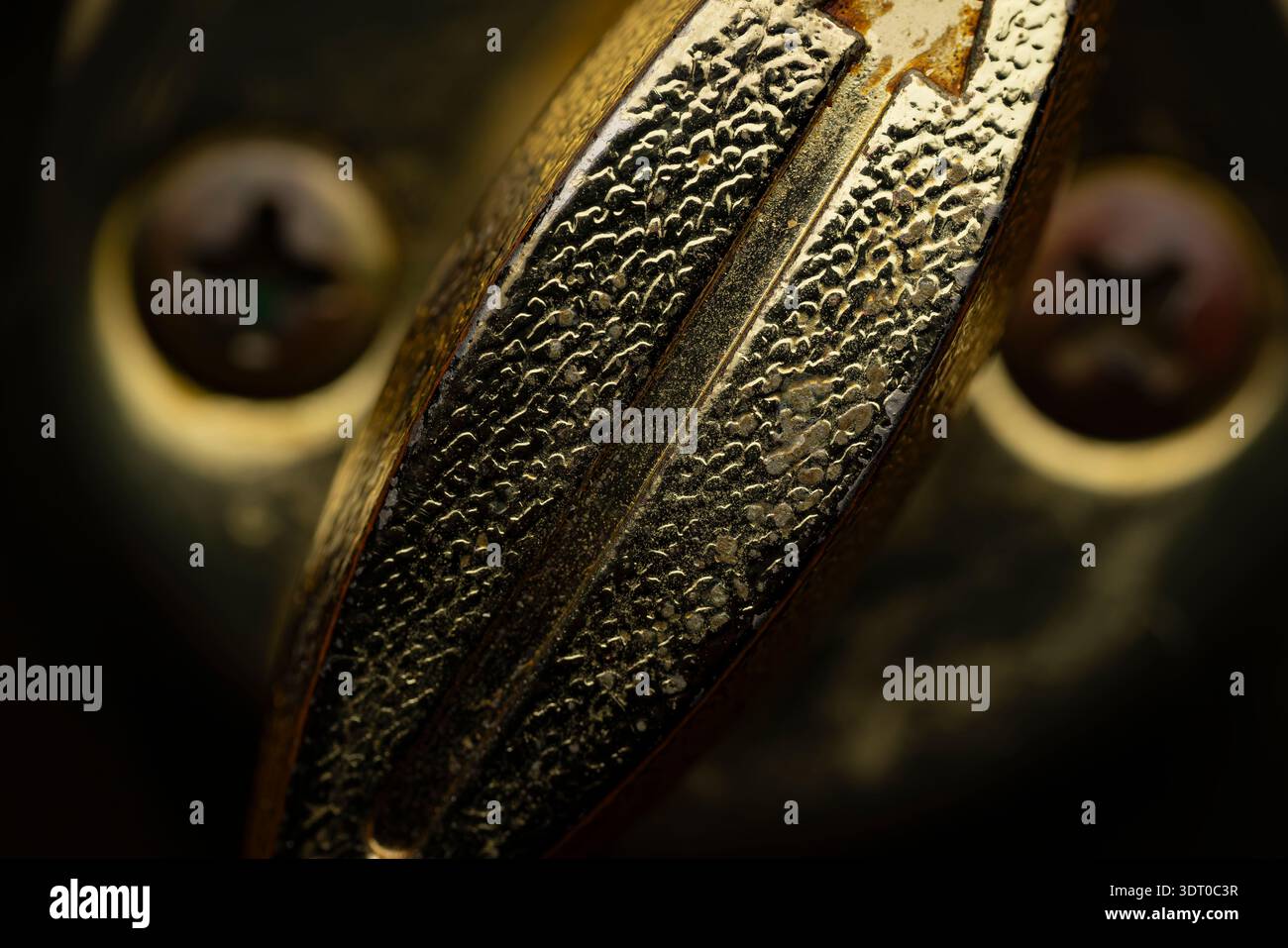 Primo piano macro estremo di una testa di vite in metallo testurizzato che mostra scanalature e patina, simboleggiando l'artigianalità, l'età e il design industriale Foto Stock