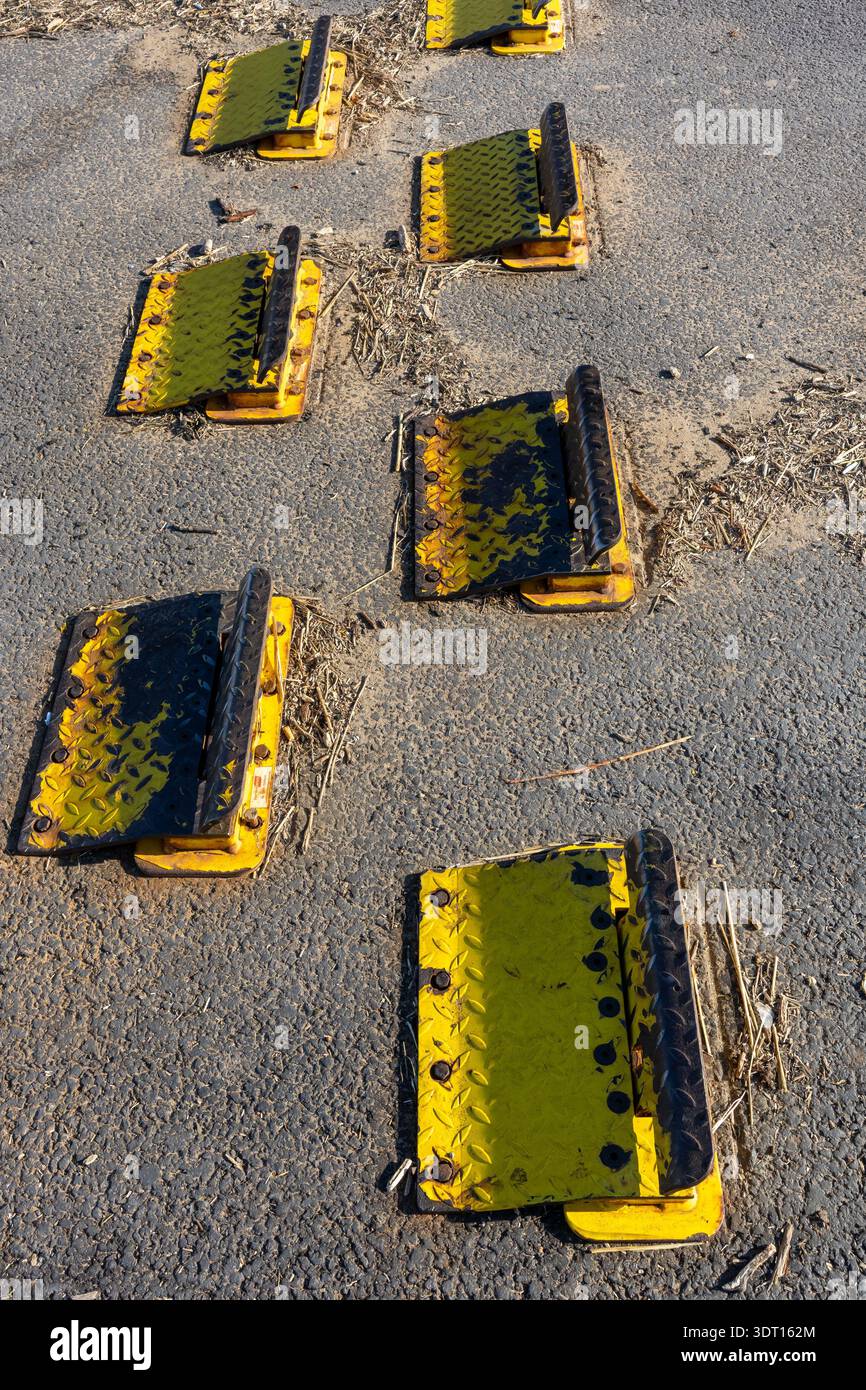 Il traffico giallo a senso unico è in aumento sull'asfalto Foto Stock
