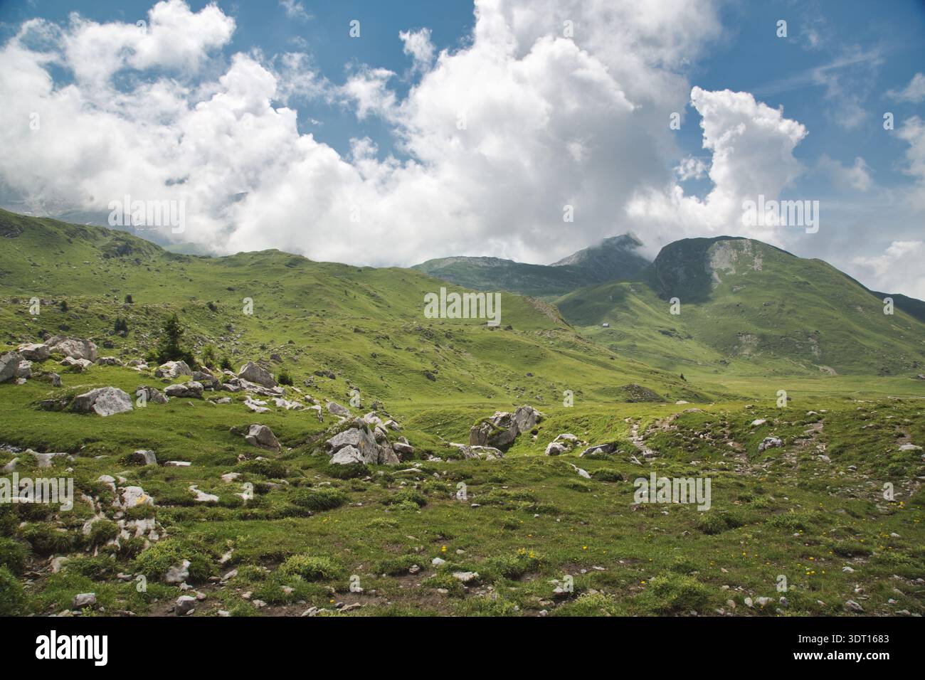 Vista panoramica delle lussureggianti montagne e nuvole a Derborence, Svizzera. Foto Stock