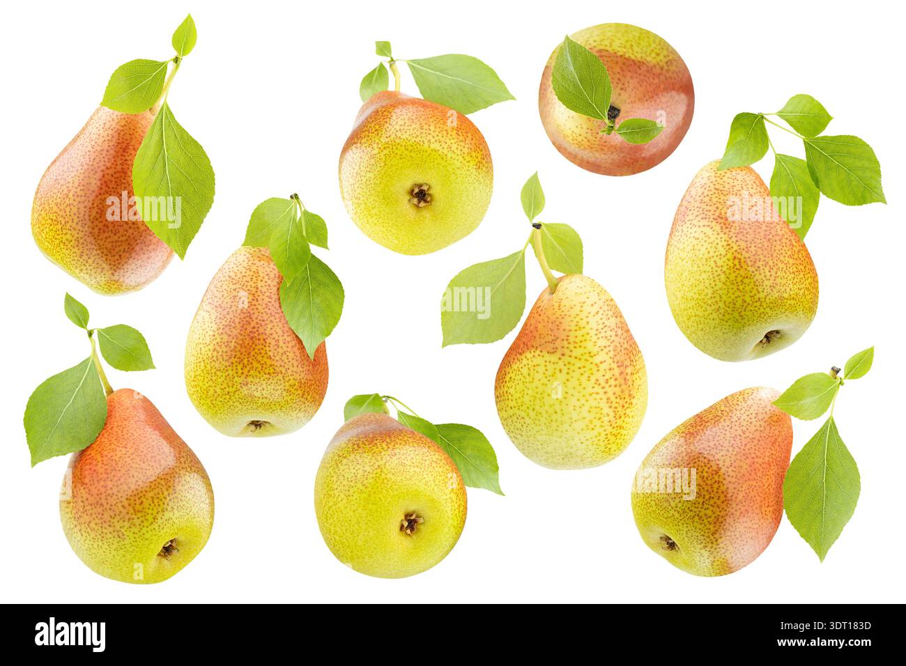 Assortimento di pere gialle mature con il lato rosso macchiato, foglie verdi, primo piano, isolate. Tutto da lati diversi, riprese in studio. Prodotti biologici Foto Stock