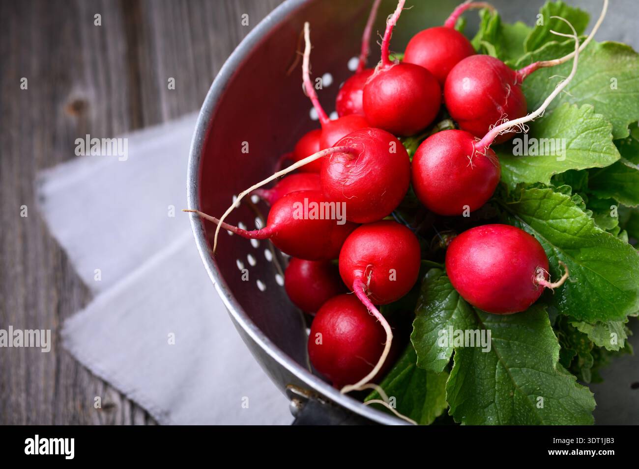 Si ravviva con il fogliame in un recipiente di metallo su tela di lino e tavolo di legno. Prodotti biologici freschi per la cucina casalinga e la presentazione di cibi puliti Foto Stock
